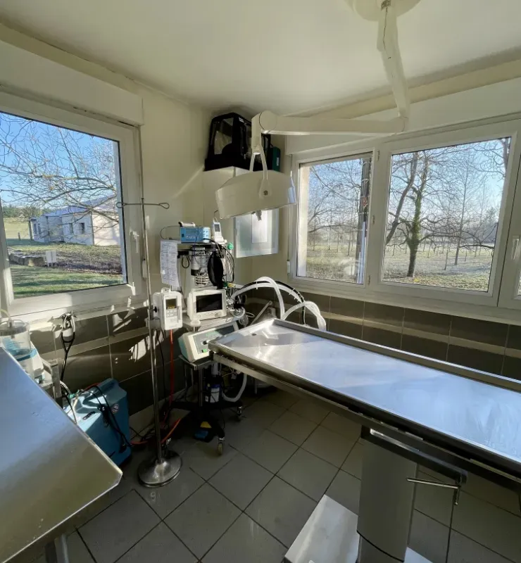 clinique-veterinaire-soins-3