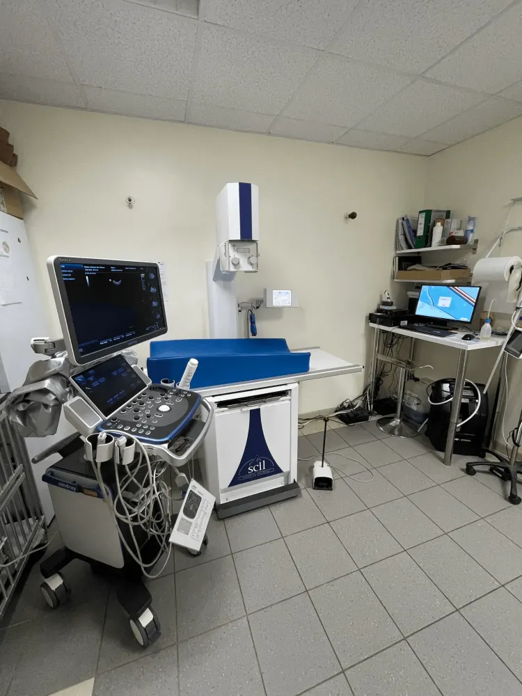 Radiologie animale à Til-Chatel