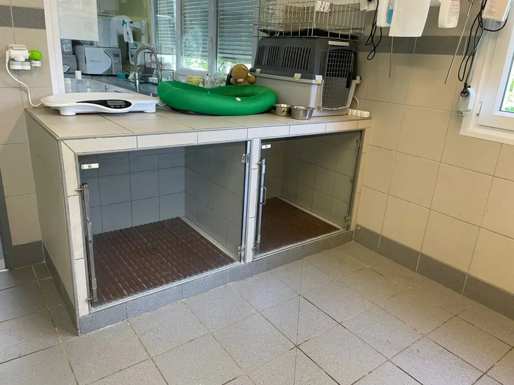 hospitalisation (2)